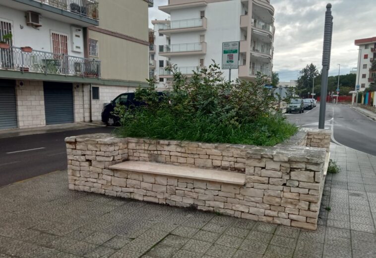 IGNORATA LA GIORNATA NAZIONALE DELL’ALBERO A GIOVINAZZO